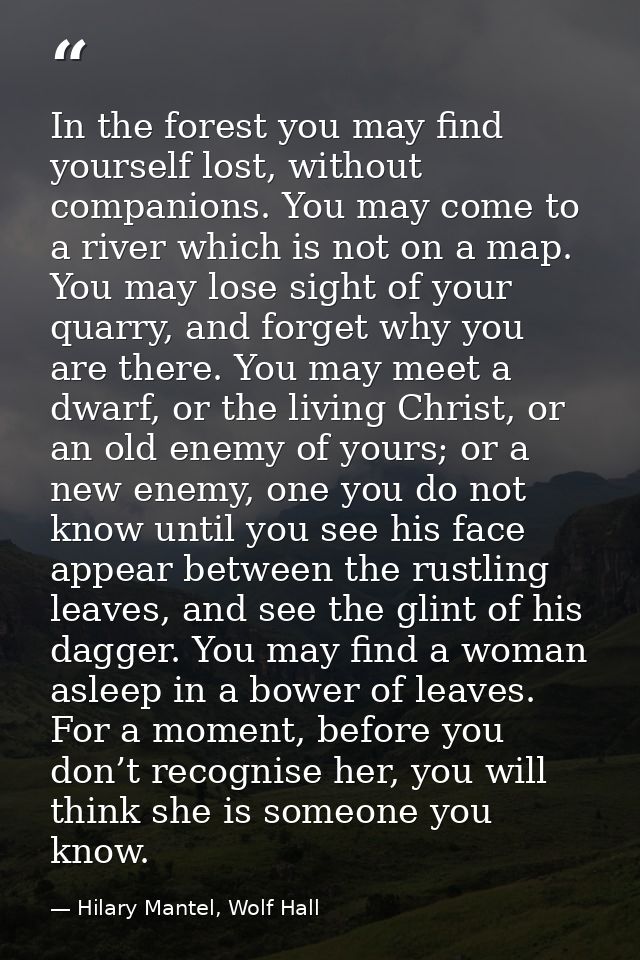 In the forest you may find yourself lost, without companions. You may come to a river which is not on a map. You may los — Hilary Mantel, Wolf Hall