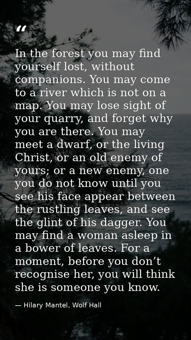 In the forest you may find yourself lost, without companions. You may come to a river which is not on a map. You may los — Hilary Mantel, Wolf Hall