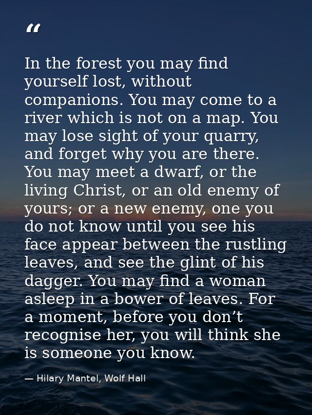 In the forest you may find yourself lost, without companions. You may come to a river which is not on a map. You may los — Hilary Mantel, Wolf Hall