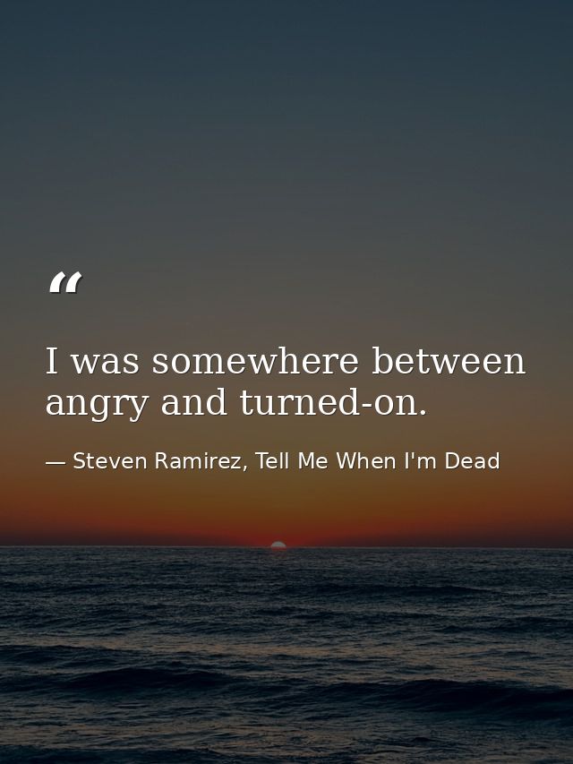I was somewhere between angry and turned-on. — Steven Ramirez, Tell Me When I'm Dead