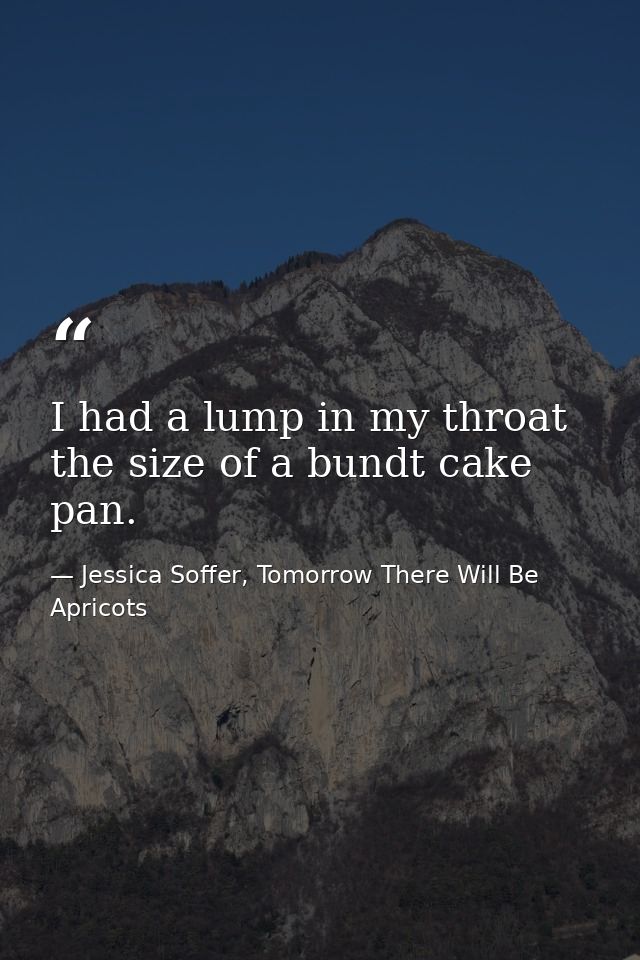 I had a lump in my throat the size of a bundt cake pan. — Jessica Soffer, Tomorrow There Will Be Apricots