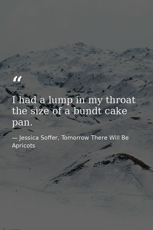 I had a lump in my throat the size of a bundt cake pan. — Jessica Soffer, Tomorrow There Will Be Apricots