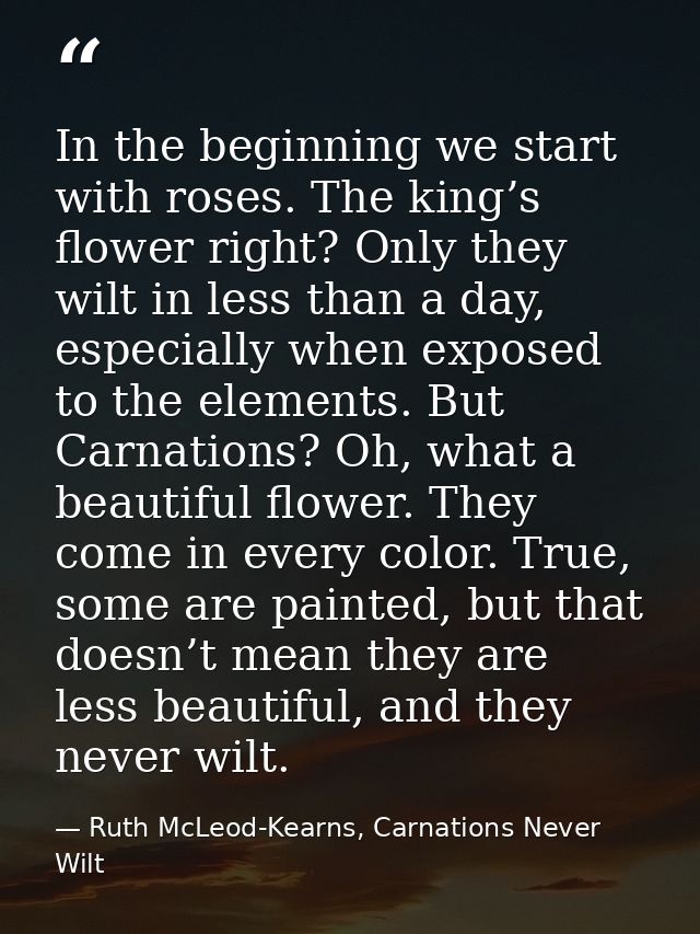 In the beginning we start with roses. The king’s flower right? Only they wilt in less than a day, especially when expose — Ruth McLeod-Kearns, Carnations Never Wilt