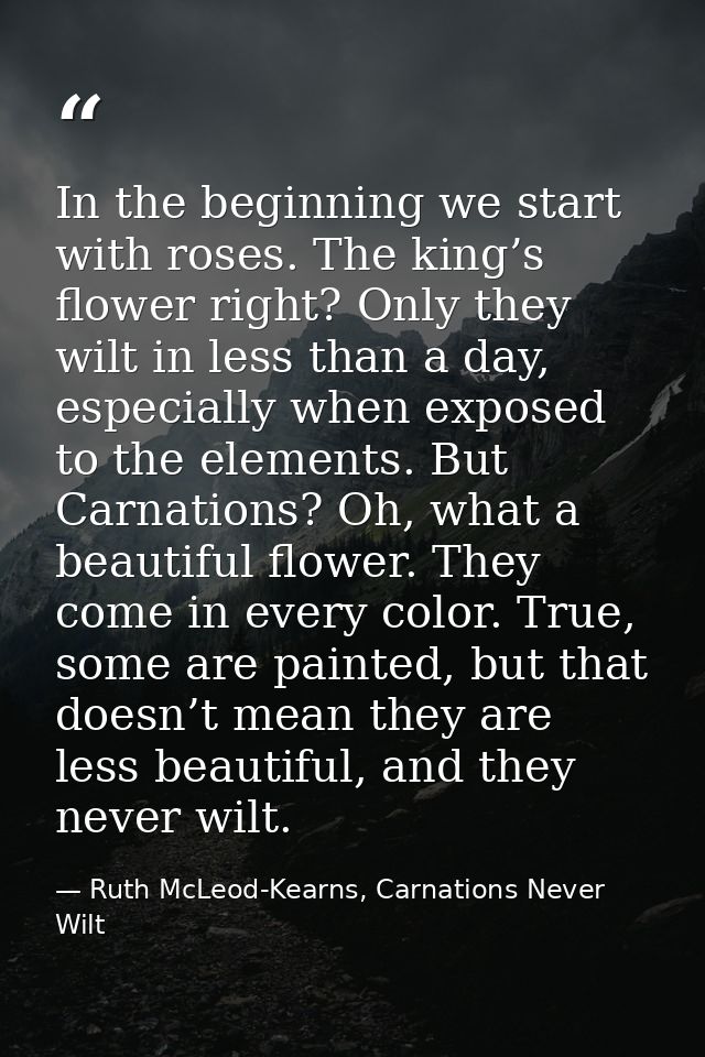 In the beginning we start with roses. The king’s flower right? Only they wilt in less than a day, especially when expose — Ruth McLeod-Kearns, Carnations Never Wilt