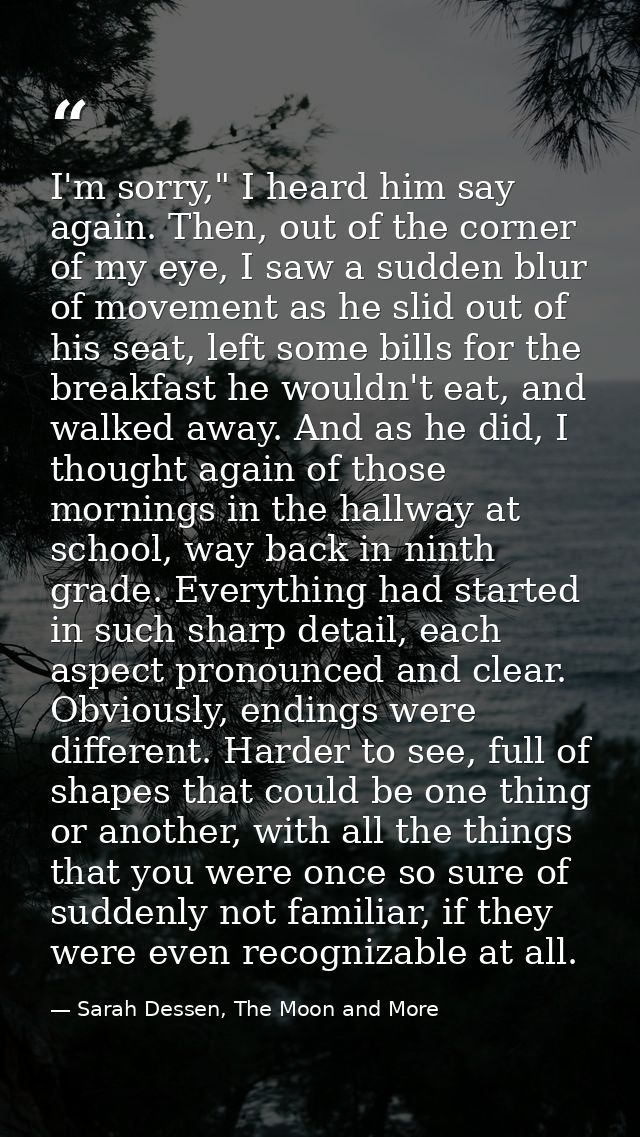 I'm sorry," I heard him say again. Then, out of the corner of my eye, I saw a sudden blur of movement as he slid out of  — Sarah Dessen, The Moon and More
