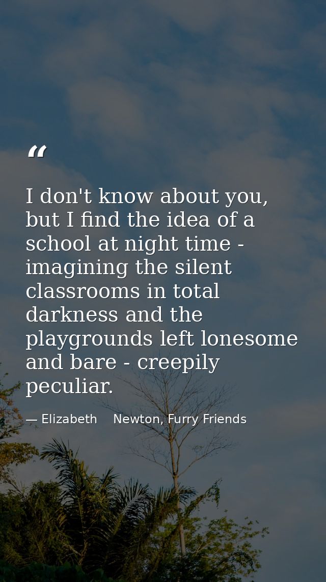 I don't know about you, but I find the idea of a school at night time - imagining the silent classrooms in total darknes — Elizabeth    Newton, Furry Friends