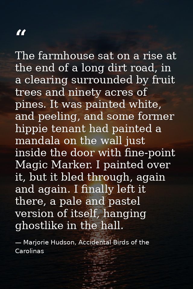 The farmhouse sat on a rise at the end of a long dirt road, in a clearing surrounded by fruit trees and ninety acres of  — Marjorie Hudson, Accidental Birds of the Carolinas