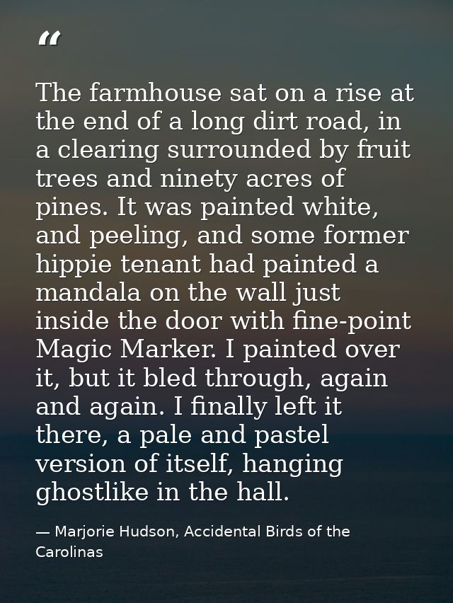 The farmhouse sat on a rise at the end of a long dirt road, in a clearing surrounded by fruit trees and ninety acres of  — Marjorie Hudson, Accidental Birds of the Carolinas