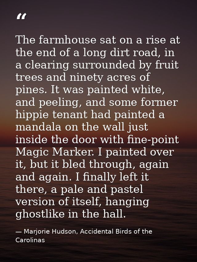 The farmhouse sat on a rise at the end of a long dirt road, in a clearing surrounded by fruit trees and ninety acres of  — Marjorie Hudson, Accidental Birds of the Carolinas