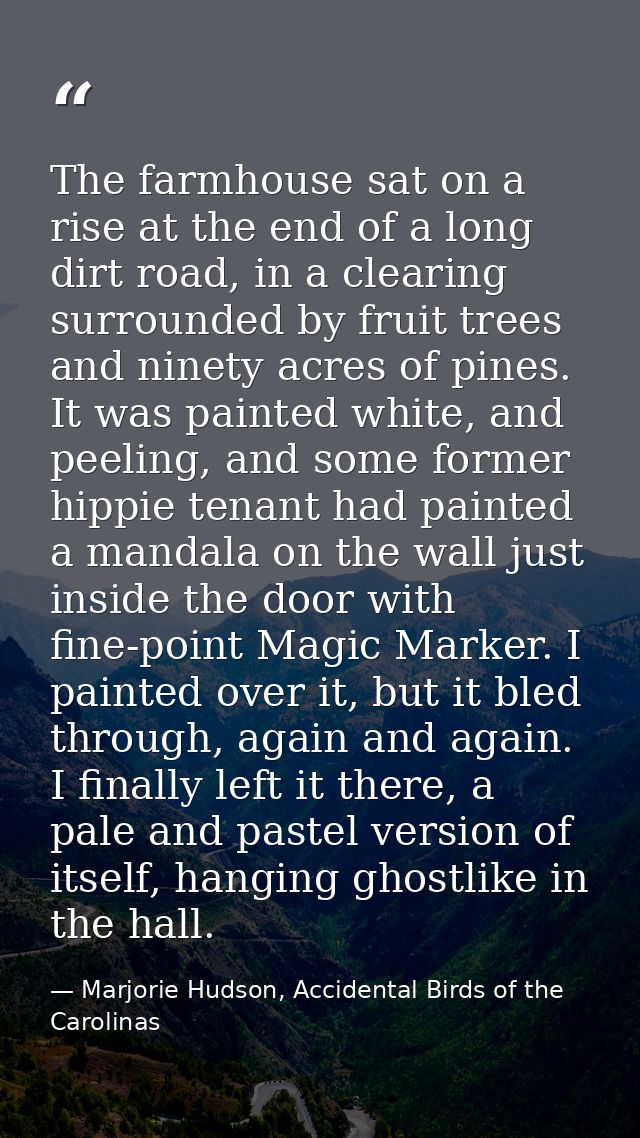 The farmhouse sat on a rise at the end of a long dirt road, in a clearing surrounded by fruit trees and ninety acres of  — Marjorie Hudson, Accidental Birds of the Carolinas