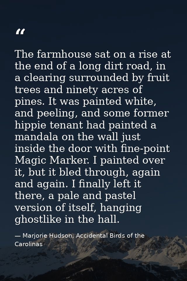 The farmhouse sat on a rise at the end of a long dirt road, in a clearing surrounded by fruit trees and ninety acres of  — Marjorie Hudson, Accidental Birds of the Carolinas
