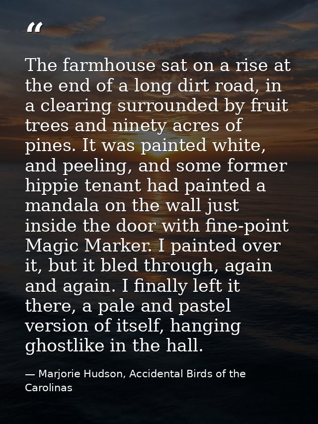 The farmhouse sat on a rise at the end of a long dirt road, in a clearing surrounded by fruit trees and ninety acres of  — Marjorie Hudson, Accidental Birds of the Carolinas