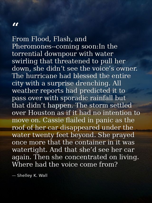 From Flood, Flash, and Pheromones--coming soon:In the torrential downpour with water swirling that threatened to pull he — Shelley K. Wall