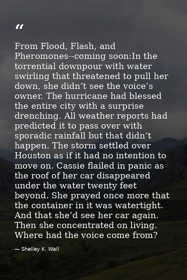 From Flood, Flash, and Pheromones--coming soon:In the torrential downpour with water swirling that threatened to pull he — Shelley K. Wall