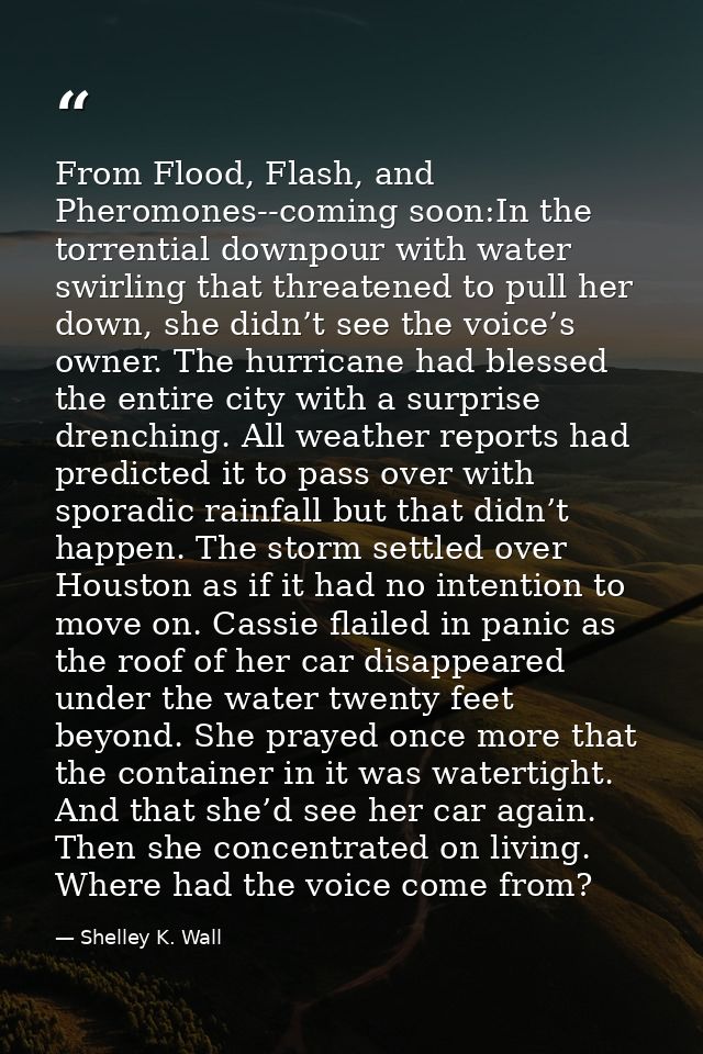 From Flood, Flash, and Pheromones--coming soon:In the torrential downpour with water swirling that threatened to pull he — Shelley K. Wall