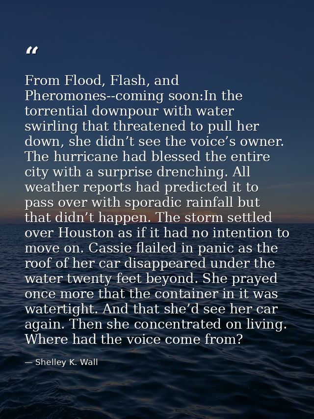 From Flood, Flash, and Pheromones--coming soon:In the torrential downpour with water swirling that threatened to pull he — Shelley K. Wall