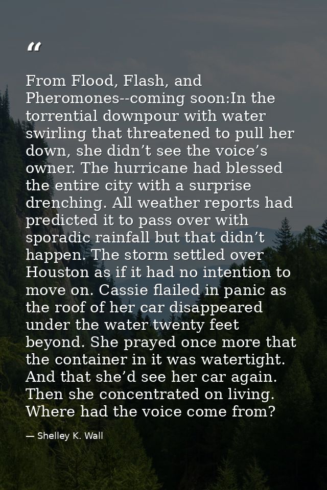 From Flood, Flash, and Pheromones--coming soon:In the torrential downpour with water swirling that threatened to pull he — Shelley K. Wall