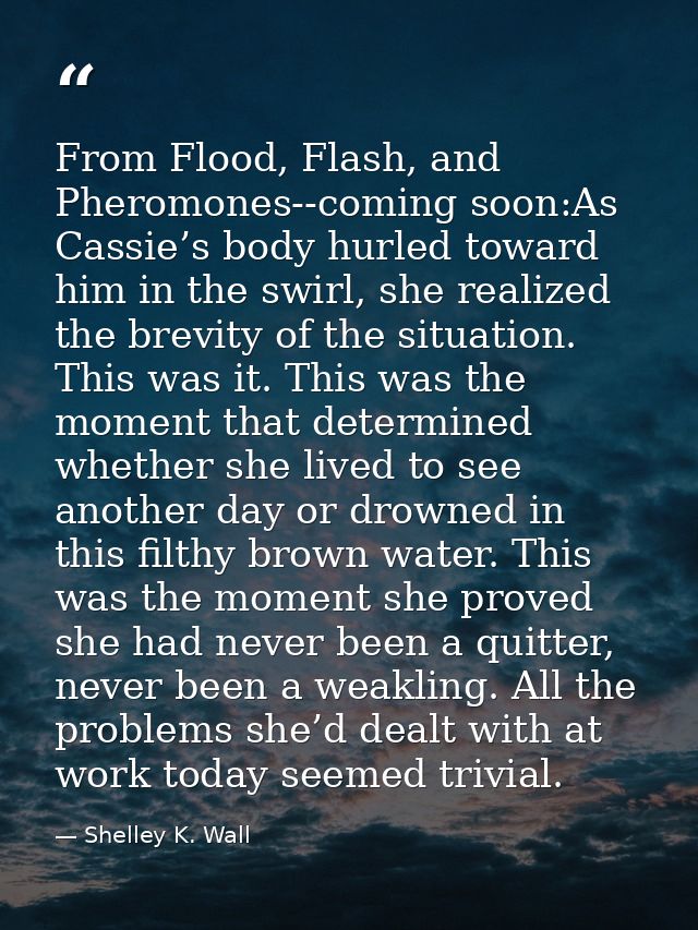 From Flood, Flash, and Pheromones--coming soon:As Cassie’s body hurled toward him in the swirl, she realized the brevity — Shelley K. Wall