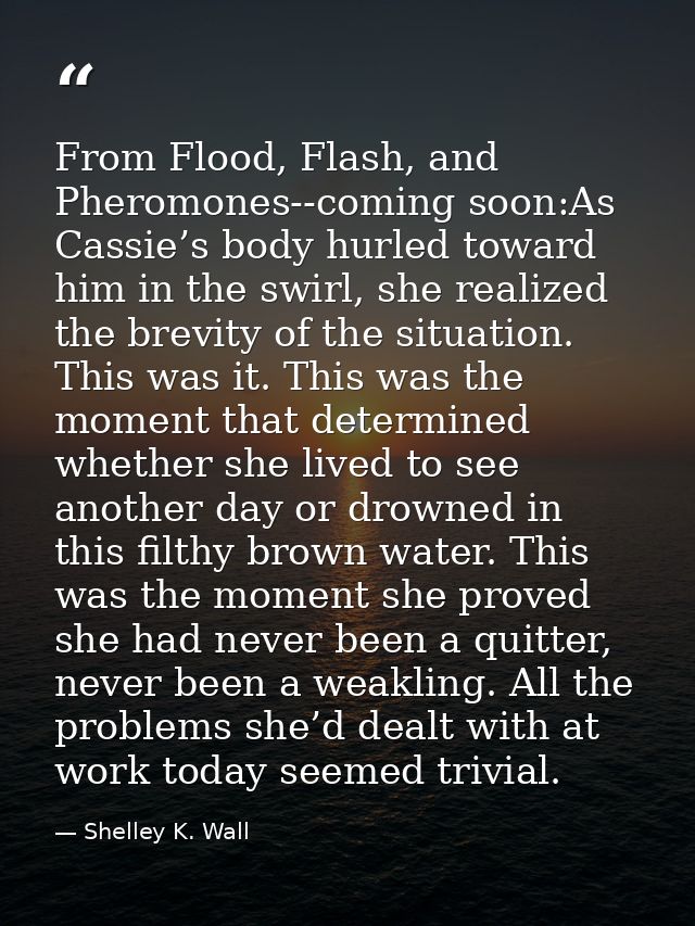 From Flood, Flash, and Pheromones--coming soon:As Cassie’s body hurled toward him in the swirl, she realized the brevity — Shelley K. Wall