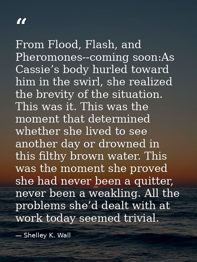 From Flood, Flash, and Pheromones--coming soon:As Cassie’s body hurled toward him in the swirl, she realized the brevity — Shelley K. Wall