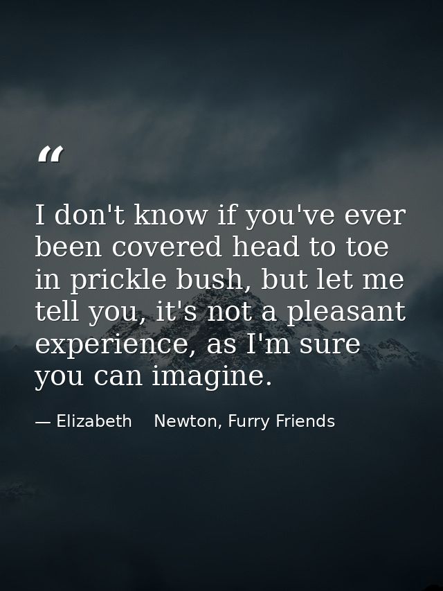 I don't know if you've ever been covered head to toe in prickle bush, but let me tell you, it's not a pleasant experienc — Elizabeth    Newton, Furry Friends