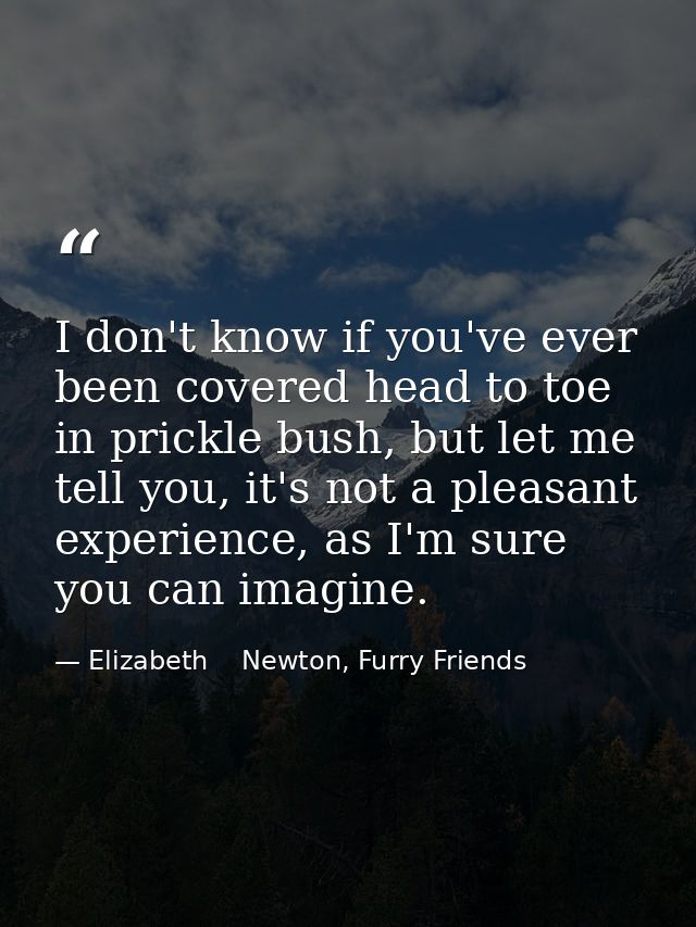 I don't know if you've ever been covered head to toe in prickle bush, but let me tell you, it's not a pleasant experienc — Elizabeth    Newton, Furry Friends