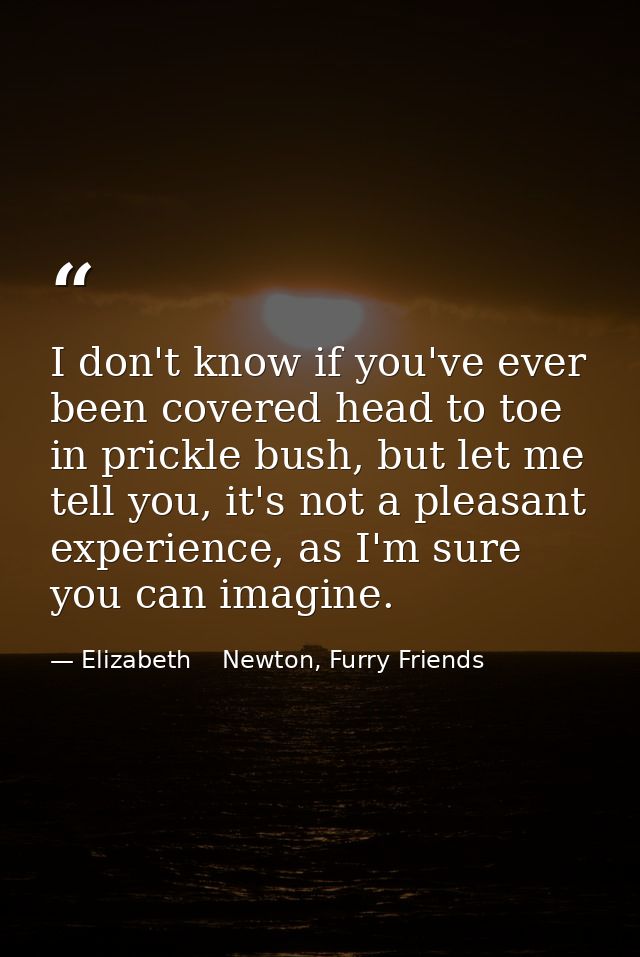 I don't know if you've ever been covered head to toe in prickle bush, but let me tell you, it's not a pleasant experienc — Elizabeth    Newton, Furry Friends