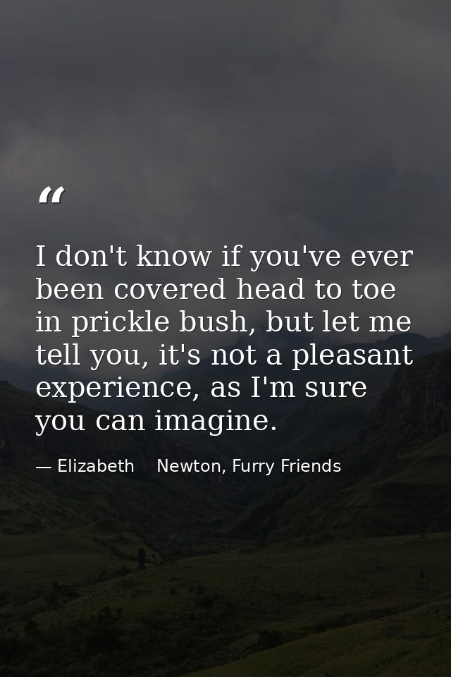 I don't know if you've ever been covered head to toe in prickle bush, but let me tell you, it's not a pleasant experienc — Elizabeth    Newton, Furry Friends