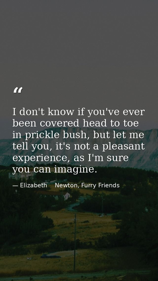 I don't know if you've ever been covered head to toe in prickle bush, but let me tell you, it's not a pleasant experienc — Elizabeth    Newton, Furry Friends