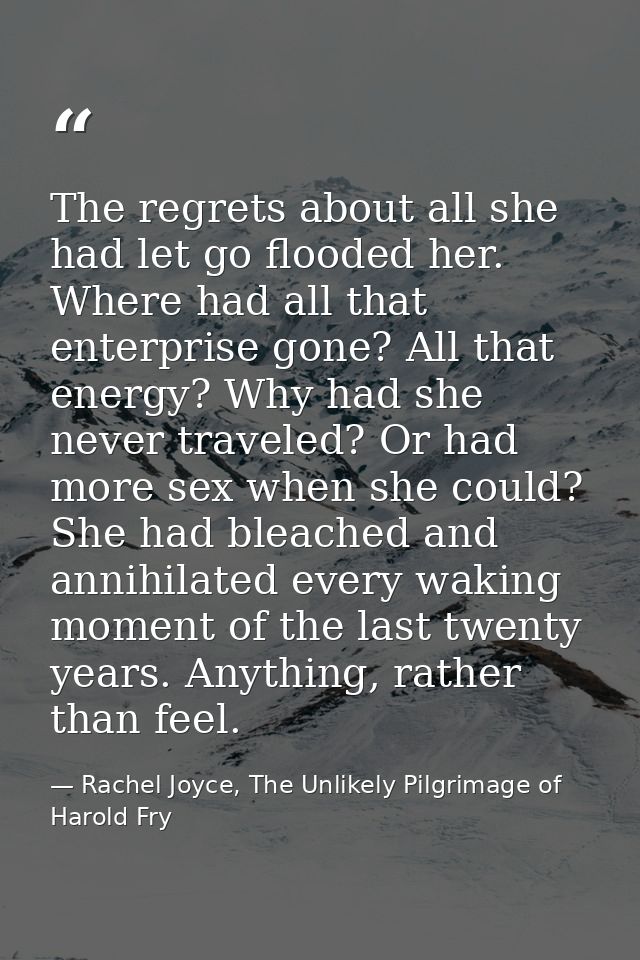The regrets about all she had let go flooded her. Where had all that enterprise gone? All that energy? Why had she never — Rachel Joyce, The Unlikely Pilgrimage of Harold Fry