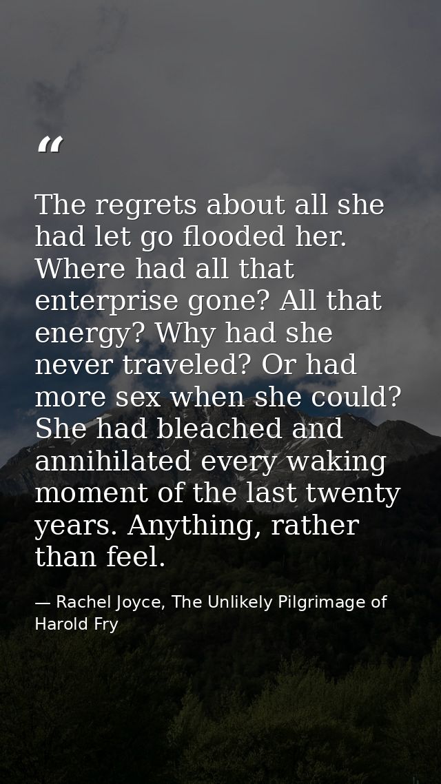 The regrets about all she had let go flooded her. Where had all that enterprise gone? All that energy? Why had she never — Rachel Joyce, The Unlikely Pilgrimage of Harold Fry
