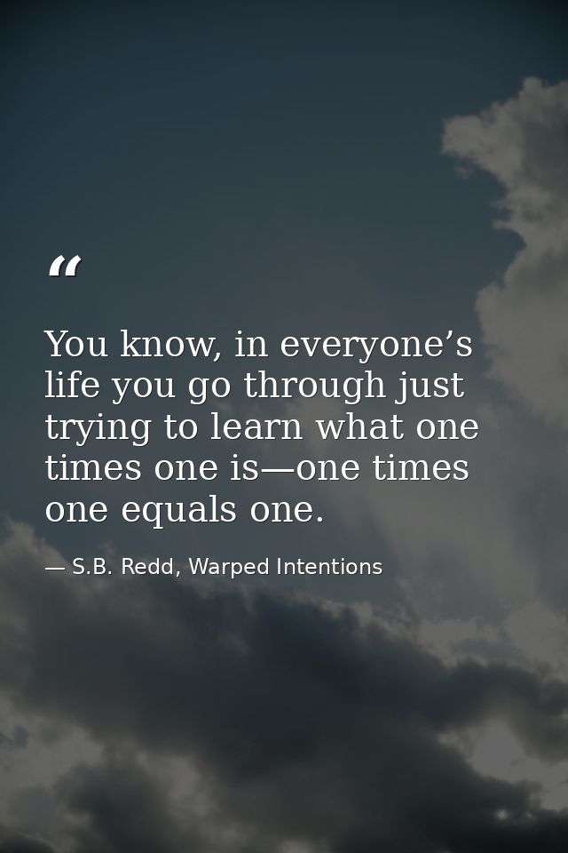 You know, in everyone’s life you go through just trying to learn what one times one is—one times one equals one. — S.B. Redd, Warped Intentions