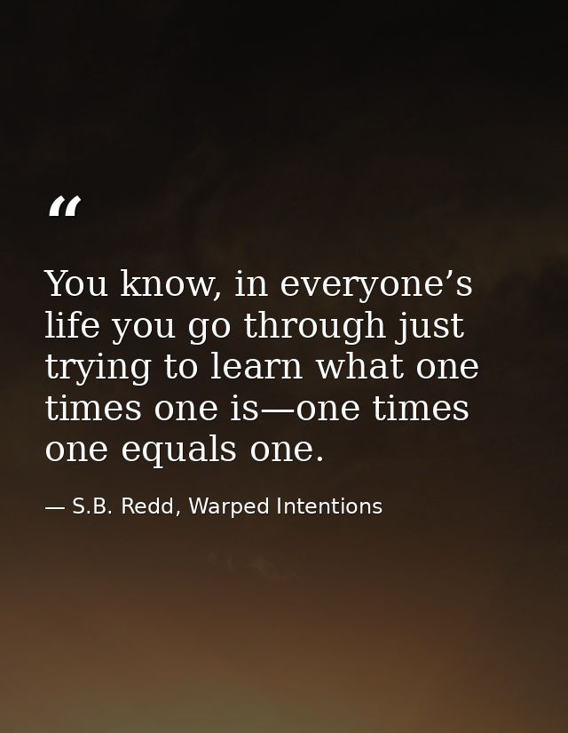 You know, in everyone’s life you go through just trying to learn what one times one is—one times one equals one. — S.B. Redd, Warped Intentions