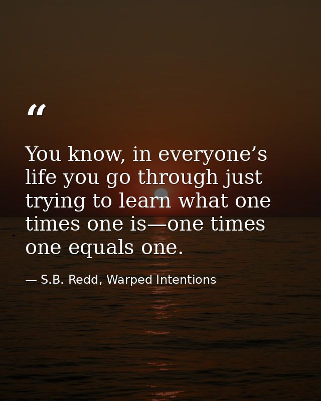 You know, in everyone’s life you go through just trying to learn what one times one is—one times one equals one. — S.B. Redd, Warped Intentions