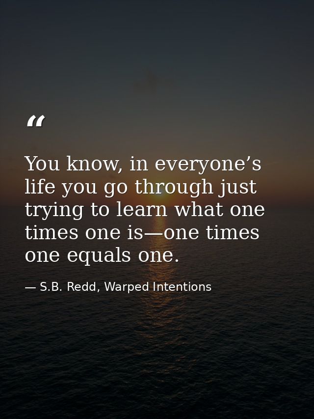 You know, in everyone’s life you go through just trying to learn what one times one is—one times one equals one. — S.B. Redd, Warped Intentions