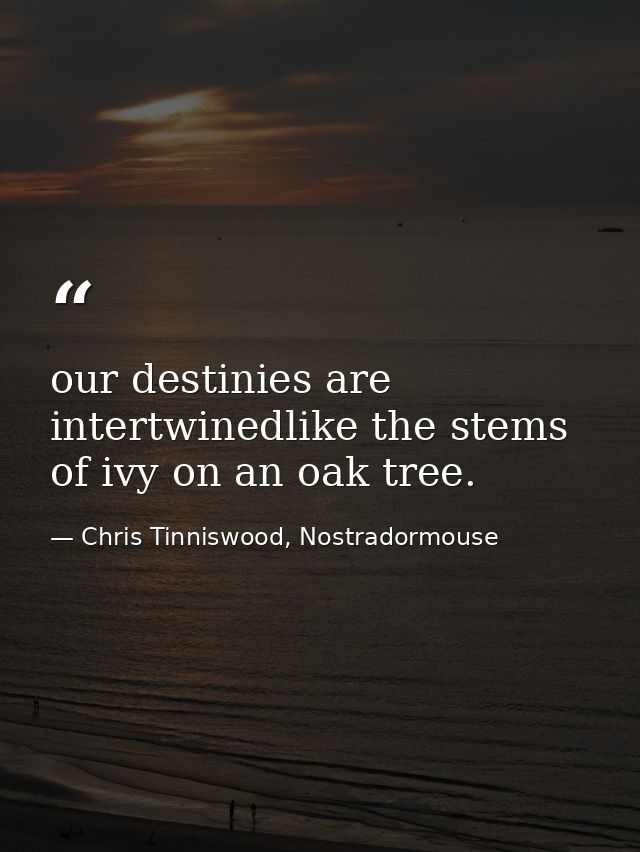 our destinies are intertwinedlike the stems of ivy on an oak tree. — Chris Tinniswood, Nostradormouse