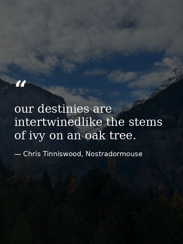 our destinies are intertwinedlike the stems of ivy on an oak tree. — Chris Tinniswood, Nostradormouse