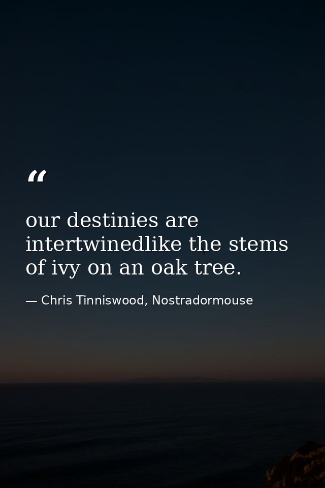 our destinies are intertwinedlike the stems of ivy on an oak tree. — Chris Tinniswood, Nostradormouse
