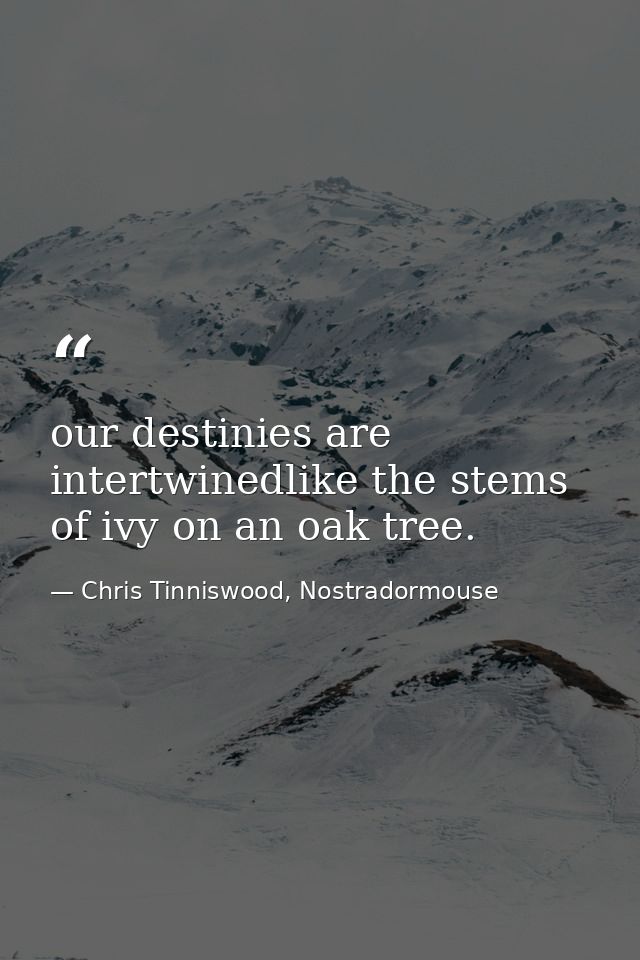 our destinies are intertwinedlike the stems of ivy on an oak tree. — Chris Tinniswood, Nostradormouse