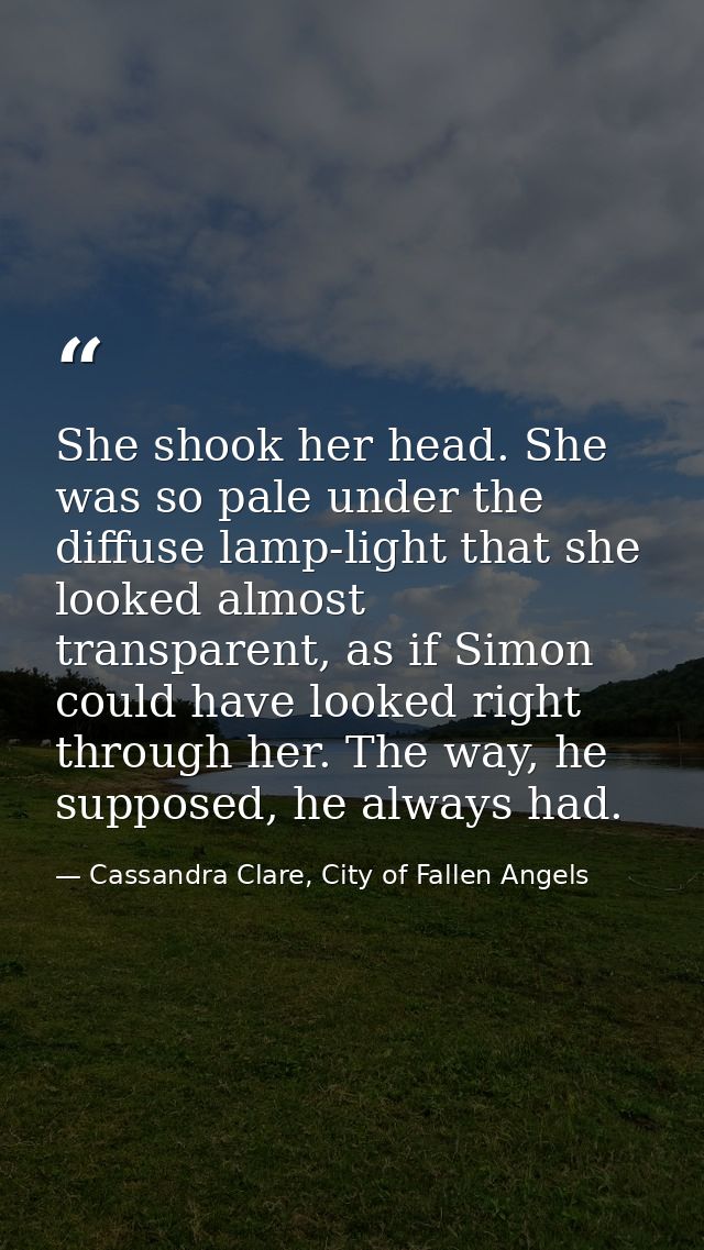 She shook her head. She was so pale under the diffuse lamp-light that she looked almost transparent, as if Simon could h — Cassandra Clare, City of Fallen Angels