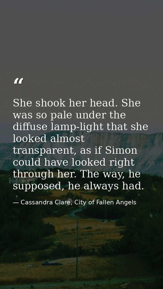 She shook her head. She was so pale under the diffuse lamp-light that she looked almost transparent, as if Simon could h — Cassandra Clare, City of Fallen Angels