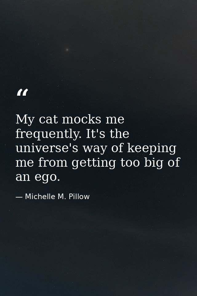 My cat mocks me frequently. It's the universe's way of keeping me from getting too big of an ego. — Michelle M. Pillow