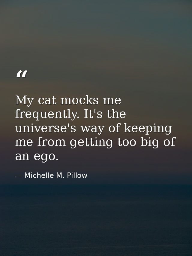 My cat mocks me frequently. It's the universe's way of keeping me from getting too big of an ego. — Michelle M. Pillow