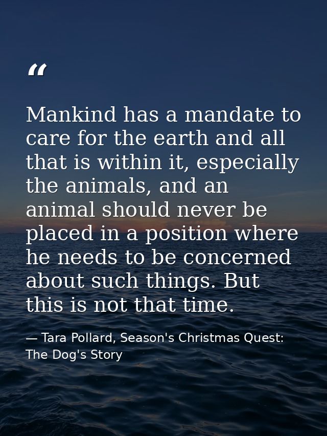 Mankind has a mandate to care for the earth and all that is within it, especially the animals, and an animal should neve — Tara Pollard, Season's Christmas Quest: The Dog's Story