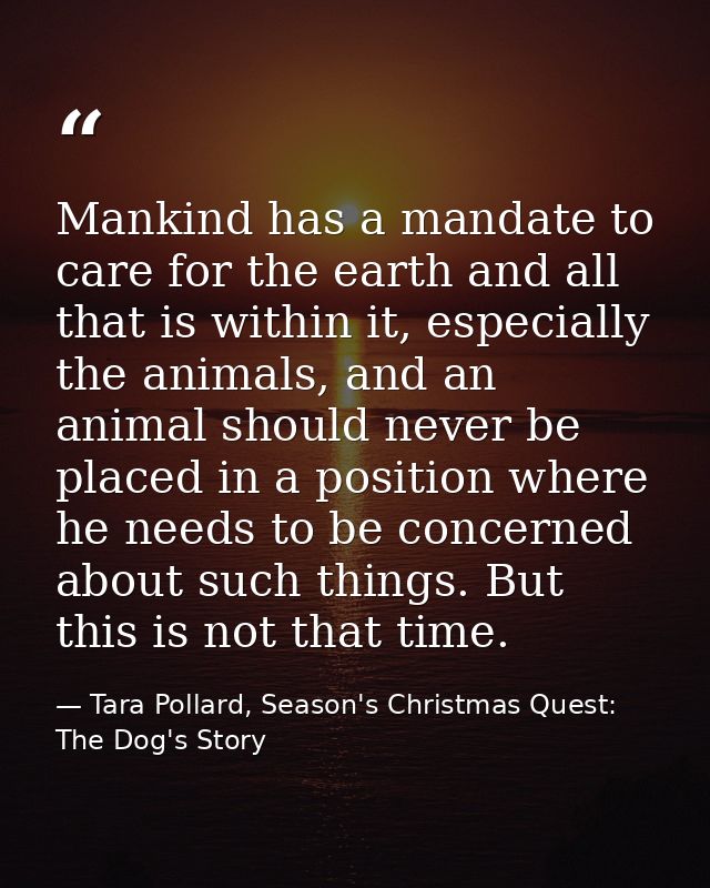 Mankind has a mandate to care for the earth and all that is within it, especially the animals, and an animal should neve — Tara Pollard, Season's Christmas Quest: The Dog's Story