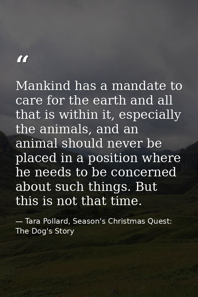 Mankind has a mandate to care for the earth and all that is within it, especially the animals, and an animal should neve — Tara Pollard, Season's Christmas Quest: The Dog's Story