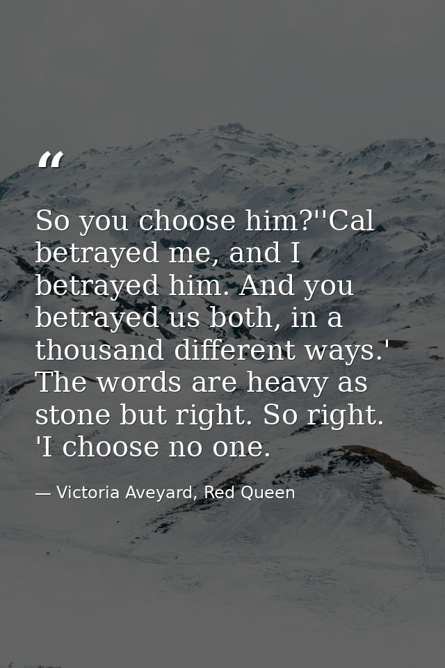 So you choose him?''Cal betrayed me, and I betrayed him. And you betrayed us both, in a thousand different ways.' The wo — Victoria Aveyard, Red Queen