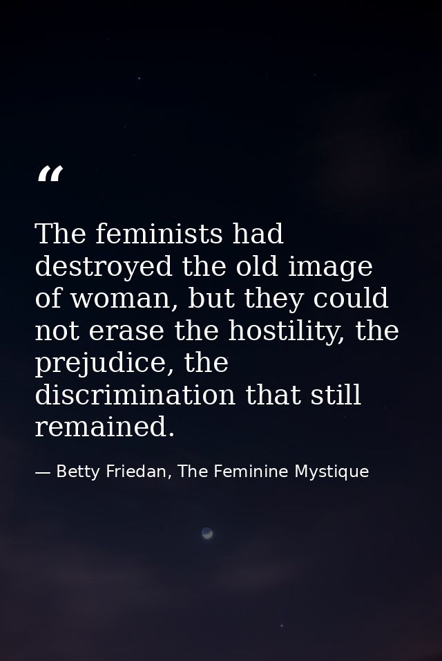 The feminists had destroyed the old image of woman, but they could not erase the hostility, the prejudice, the discrimin — Betty Friedan, The Feminine Mystique