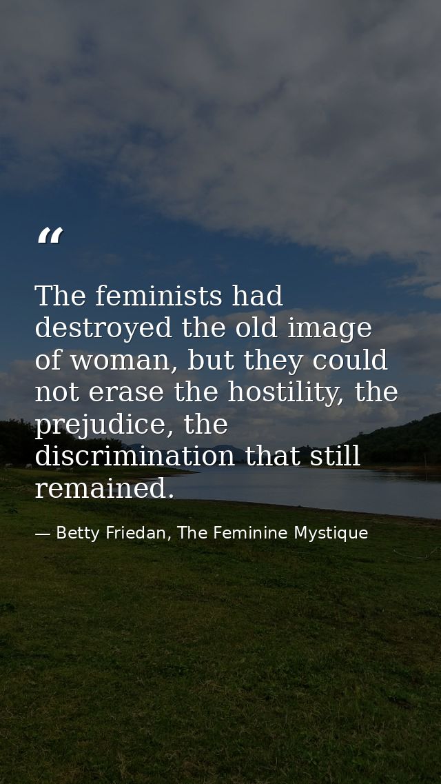 The feminists had destroyed the old image of woman, but they could not erase the hostility, the prejudice, the discrimin — Betty Friedan, The Feminine Mystique
