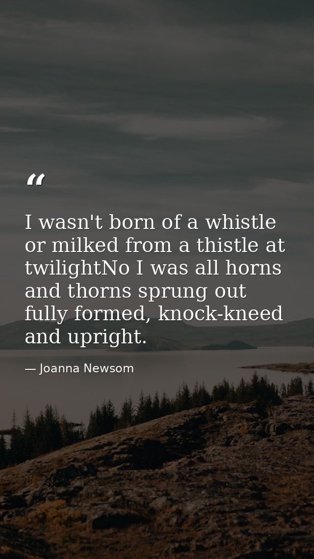 I wasn't born of a whistle or milked from a thistle at twilightNo I was all horns and thorns sprung out fully formed, kn — Joanna Newsom